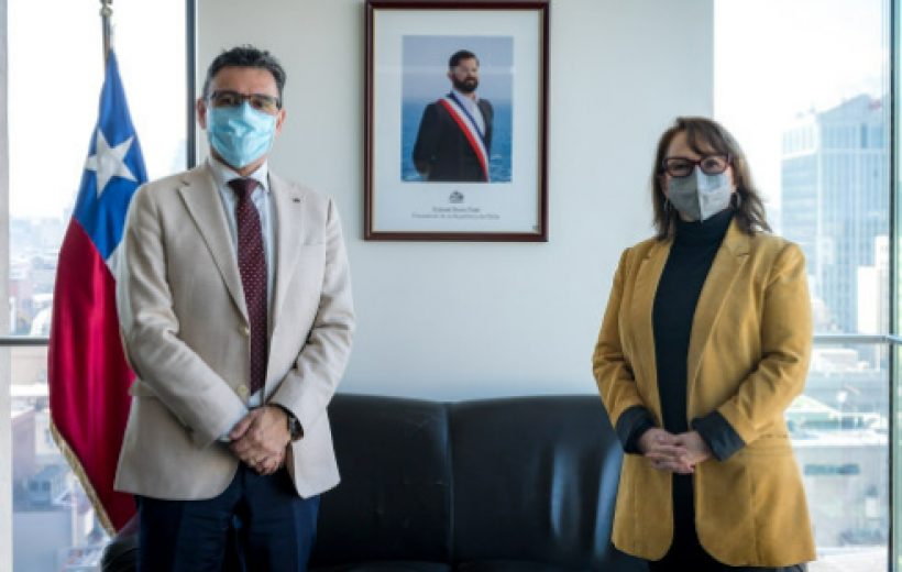 Ministros de Minería y Ciencia establecen estrategia de fomento y priorización del litio y salares