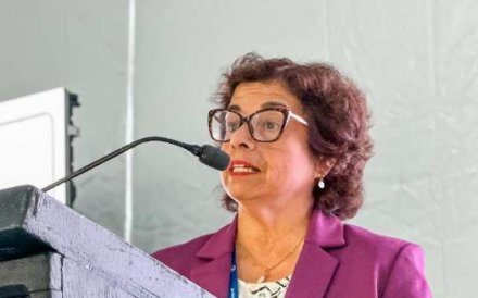 Se creará en junio el Instituto Tecnológico y de Investigación Público de Litios y Salares
